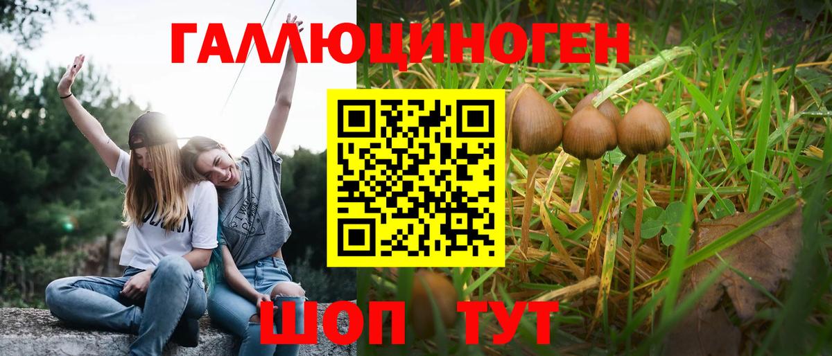 Псилоцибиновые грибы MAGIC MUSHROOMS  Вход с VPN  Берёзовский  Псилоцибиновые грибы Magic Shrooms 